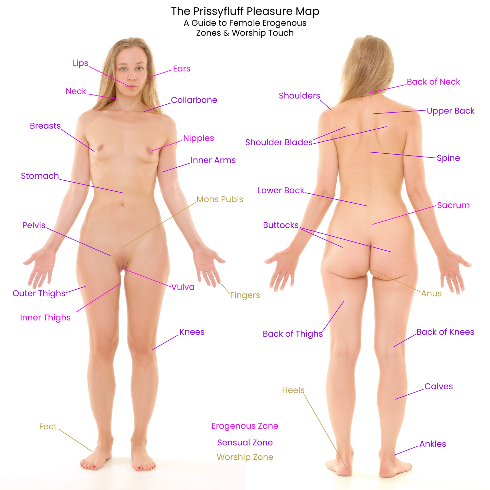 Educational infographic showing front and back outlines of a nude female body with color-coded labels for erogenous zones like the vulva, nipples, neck, and buttocks, sensual zones such as the stomach and lower back, and worship zones including hands, feet, and breasts.
